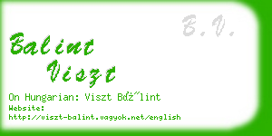 balint viszt business card